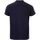 Vêtements Homme T-shirts & Polos Canterbury  Bleu