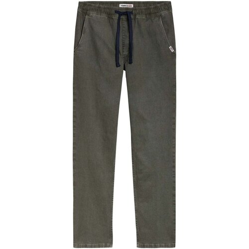 Vêtements Homme Pantalons Tommy Jeans DM0DM12762 Vert