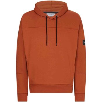 Vêtements Homme Sweats Calvin Klein Jeans K10K109704 Orange