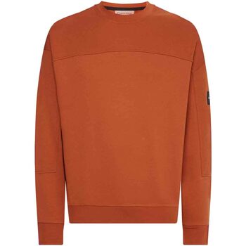 Vêtements Homme Sweats Calvin Klein Jeans K10K109708 Orange