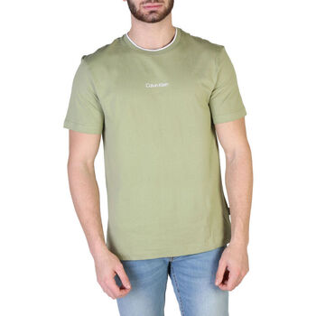 Vêtements Homme T-shirts manches courtes Calvin Klein Jeans - k10k107845 Vert