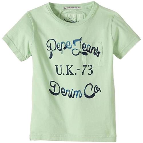 Vêtements Garçon T-shirts manches courtes Pepe JEANS Knit  Vert