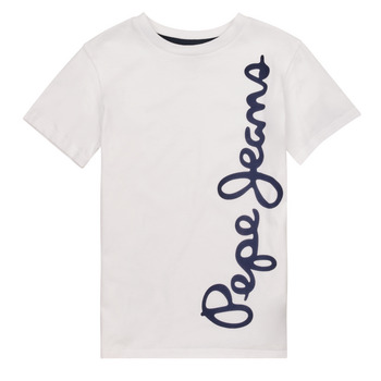 Vêtements Garçon T-shirts manches courtes Pepe jeans WALDO S/S Blanc
