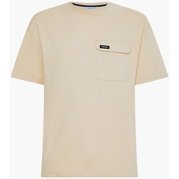 Vêtements Homme T-shirts & Polos Calvin Klein Jeans K10K109790 Beige