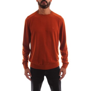 Vêtements Homme Zebra Hooded Sweatshirt Calvin Klein Jeans K10K110477 Marron