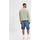 Vêtements Homme Shorts / Bermudas Selected 16083040 ALEX-LIGHT BLUE Bleu