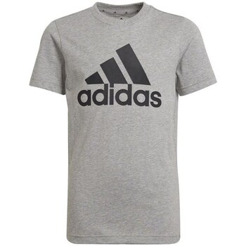 Vêtements Garçon T-shirts manches courtes mens adidas Originals Essentials Tee JR Gris