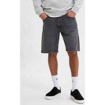 Vêtements Homme Shorts sticos / Bermudas Selected 16083154 ALEX-MEDIUM GREY Gris