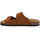 Chaussures Homme Sandales et Nu-pieds Billowy 8077C12 Marron