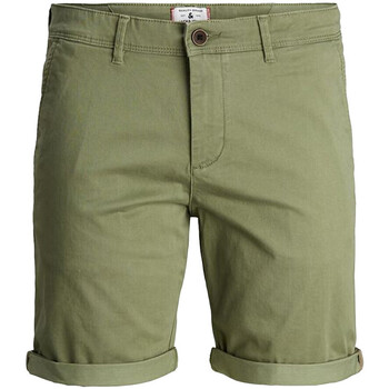 Vêtements Homme Shorts DRESS / Bermudas Jack & Jones 12171179 Vert
