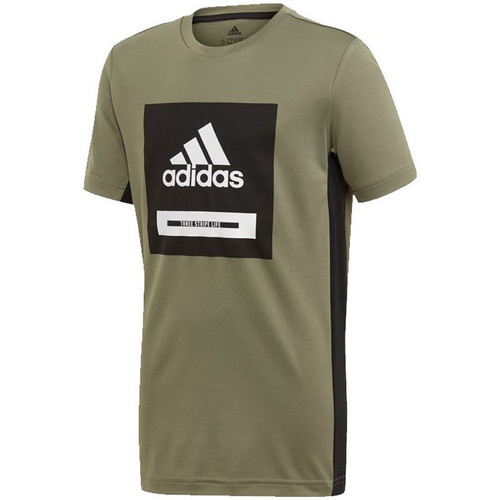 Vêtements Garçon T-shirts & Polos adidas Fierce Originals FM1698 Vert