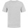 Vêtements Homme T-shirts manches courtes Paulo Vici Vintage Tee Gris