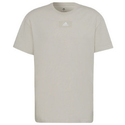 Vêtements Homme T-shirts & Polos adidas Originals TEE-SHIRT  GRIS - ALUMIN - S Multicolore