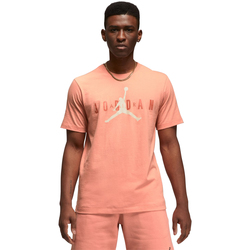 Vêtements Homme T-shirts manches courtes Nike T-shirt Jordan Air Wordmark Orange