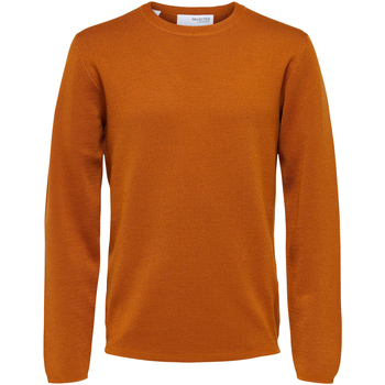 Vêtements Homme Pulls Selected Pull col rond Orange