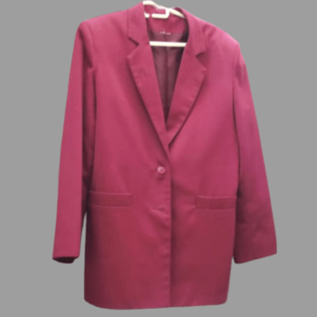 Sans marque Blazer veste tailleur bordeaux T 38 / 40 Bordeaux - Vêtements  Vestes / Blazers Femme 7,00 €