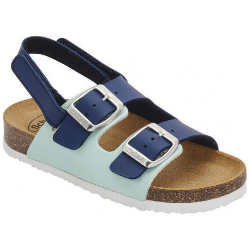 Chaussures Enfant myspartoo - get inspired Scholl TURTLE RECYCLED SYNTHETIC Junior Bleu