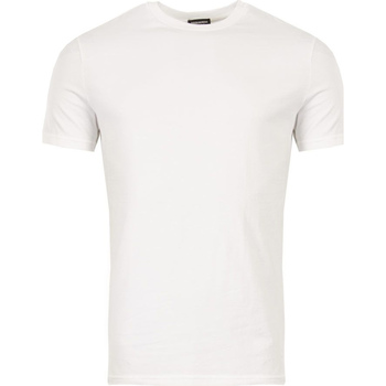 Vêtements Homme T-shirts manches courtes Dsquared DCX20030 Blanc
