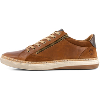 Chaussures Homme Baskets mode Travelin' Coventry Baskets Marron