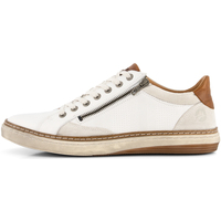 Chaussures Homme Baskets mode Travelin' Coventry Baskets Blanc