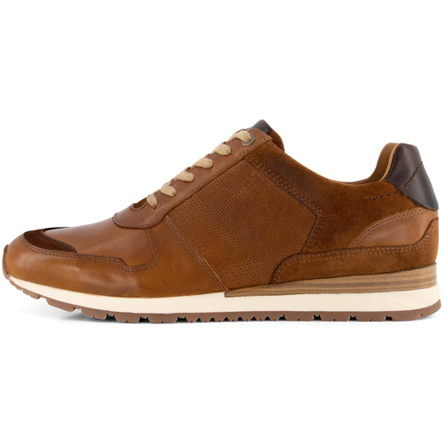 Chaussures Homme Baskets basses Travelin' Worcester Marron