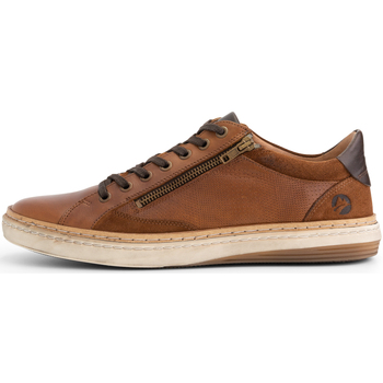 Chaussures Homme Baskets basses Travelin' Daventry Baskets Marron
