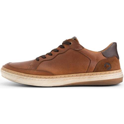 Chaussures Homme Baskets basses Travelin' Rugby Marron