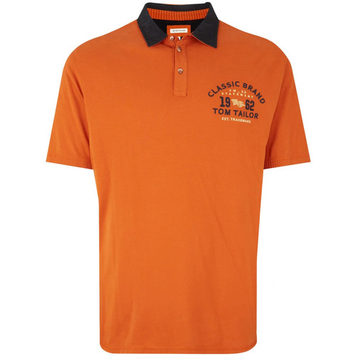 Vêtements Homme Alderford Trench Jackets Tom Tailor 138923VTAH22 Orange