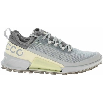Chaussures Femme Baskets basses could Ecco Biom 21 X Country Gris