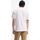 Vêtements Homme T-shirts & Polos Levi's 19452 0001 SKATE 2 PACK-1 WHITE, 1 BLACK multicolore