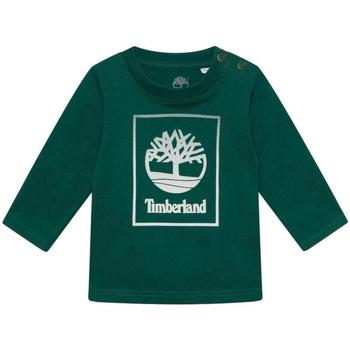 Vêtements Garçon T-shirts manches courtes Timberland sprint Vert