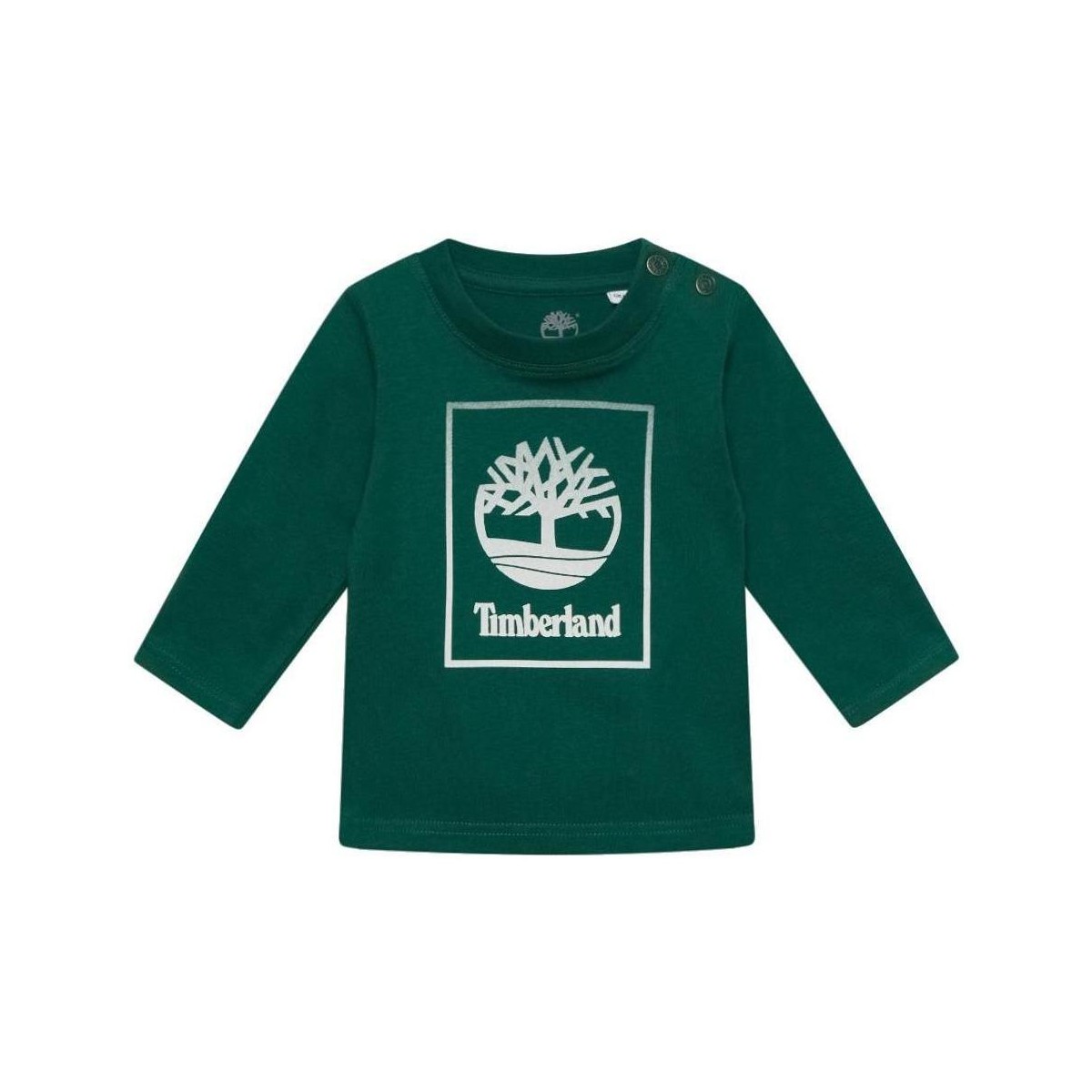 Vêtements Garçon T-shirts manches courtes Timberland  Vert