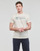 Vêtements Homme T-shirts manches courtes Tom Tailor 1035611 Beige
