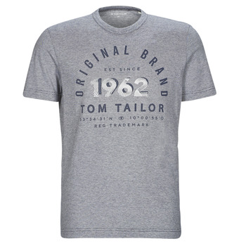 Vêtements Homme T-shirts manches courtes Tom Tailor 1035549 Gris