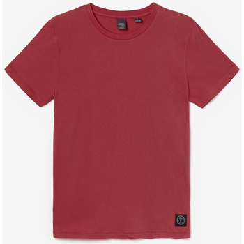 Vêtements Homme Pulls & Gilets Lauren Ralph Lauises T-shirt brown bordeaux Rouge