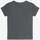 Vêtements Fille T-shirts & Polos Le Temps des Cerises T-shirt nastiagi gris imprimé Gris
