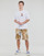 Vêtements Homme Shorts / Bermudas Champion Cargo Bermuda Multicolore