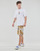 Vêtements Homme Shorts horse-print / Bermudas Champion Cargo Bermuda Multicolore