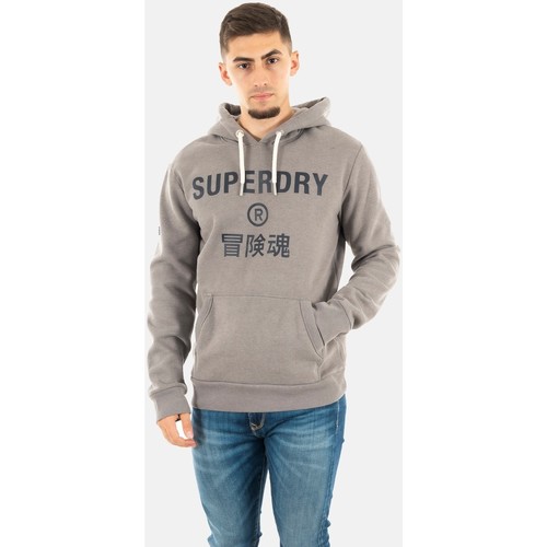 Vêtements Homme Sweats Superdry m2011828a Gris