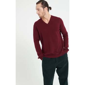 Vêtements Homme Pulls Studio Cashmere8 LUKE 11 Pull col V - 100% cachemire rouge bordeaux