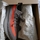 Chaussures Homme Running / trail adidas Originals Yeezy 350 beluga Gris