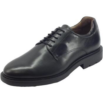 Chaussures Homme Derbies & Richelieu NeroGiardini I202481U Ilcea Noir