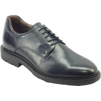 Chaussures Homme Derbies & Richelieu NeroGiardini I202481U Kenia Bleu
