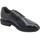 Chaussures Homme Derbies & Richelieu NeroGiardini I202481U Kenia Bleu