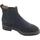 Chaussures Femme Boots NeroGiardini I216810D Velour Bleu