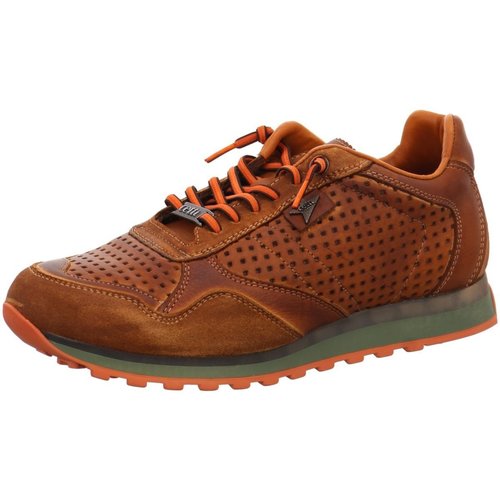 Chaussures Homme The home deco fa Cetti  Marron