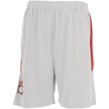 Vêtements Homme Shorts / Bermudas Olympique Lyonnais Ol gris chine short Gris