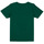 Vêtements Garçon T-shirts manches courtes Name it NKMTAKALA SS TOP Vert
