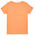 Vêtements Fille T-shirts manches courtes Name it NKFTATIANNA SS TOP Orange