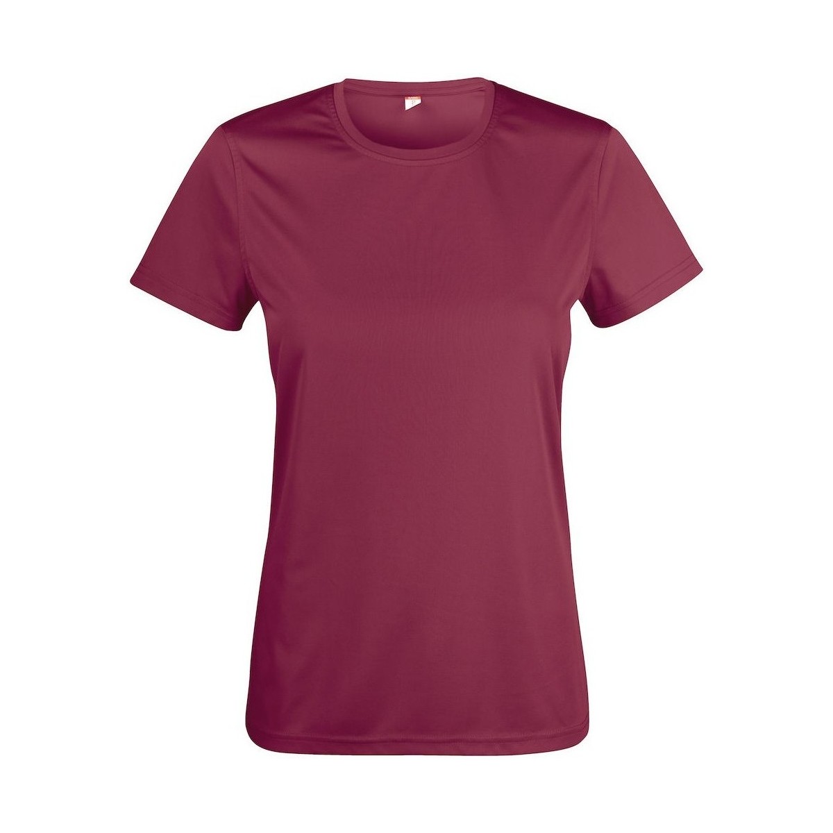 Vêtements Femme T-shirts manches longues C-Clique Basic Active Gris